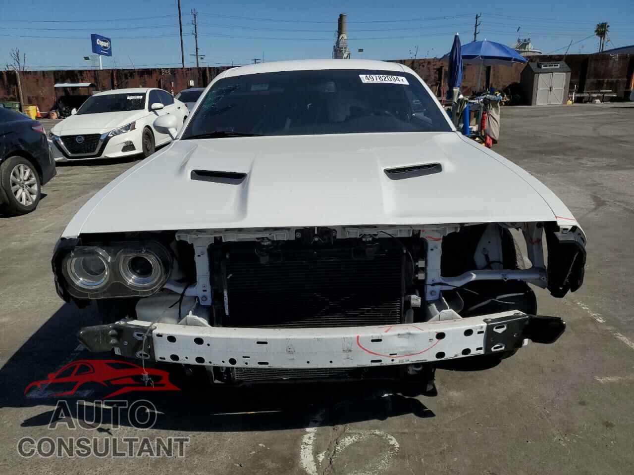 DODGE CHALLENGER 2019 - 2C3CDZAG2KH565421