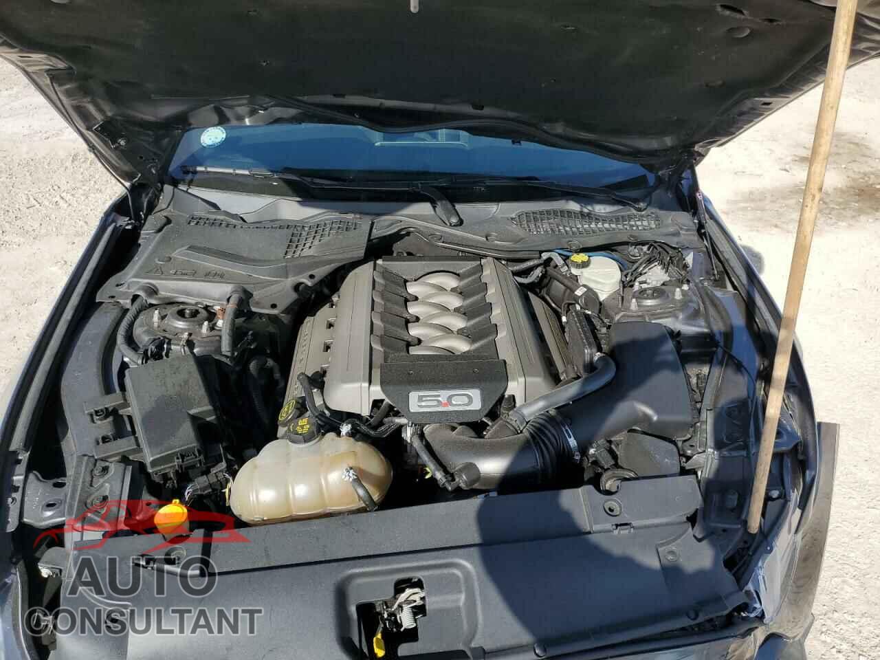 FORD MUSTANG 2017 - 1FA6P8CF2H5301507