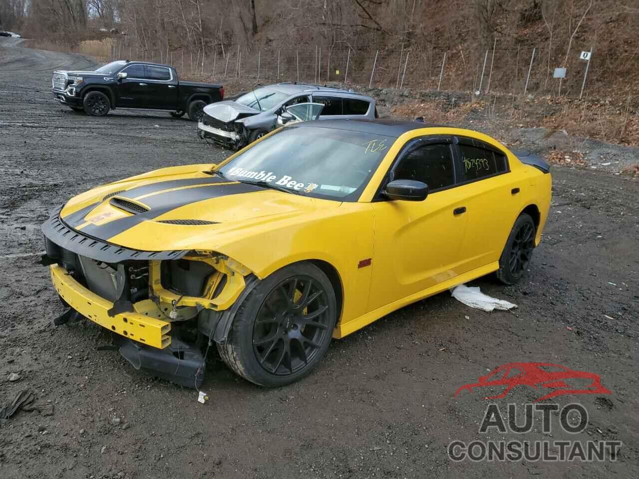 DODGE CHARGER 2017 - 2C3CDXCT0HH545949