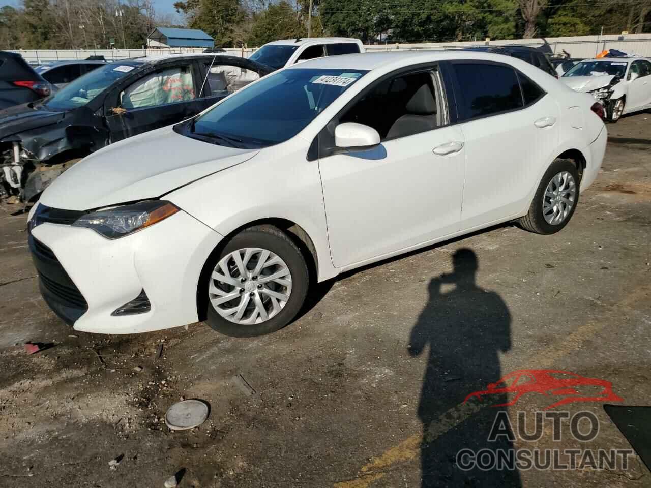 TOYOTA COROLLA 2019 - 5YFBURHEXKP936184
