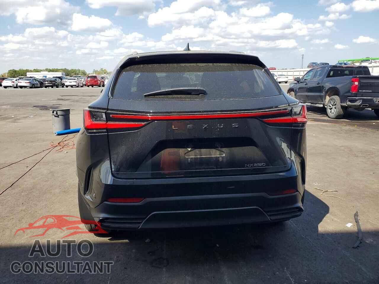 LEXUS UNKNOWN 2022 - 2T2GDCAZ7NC001852