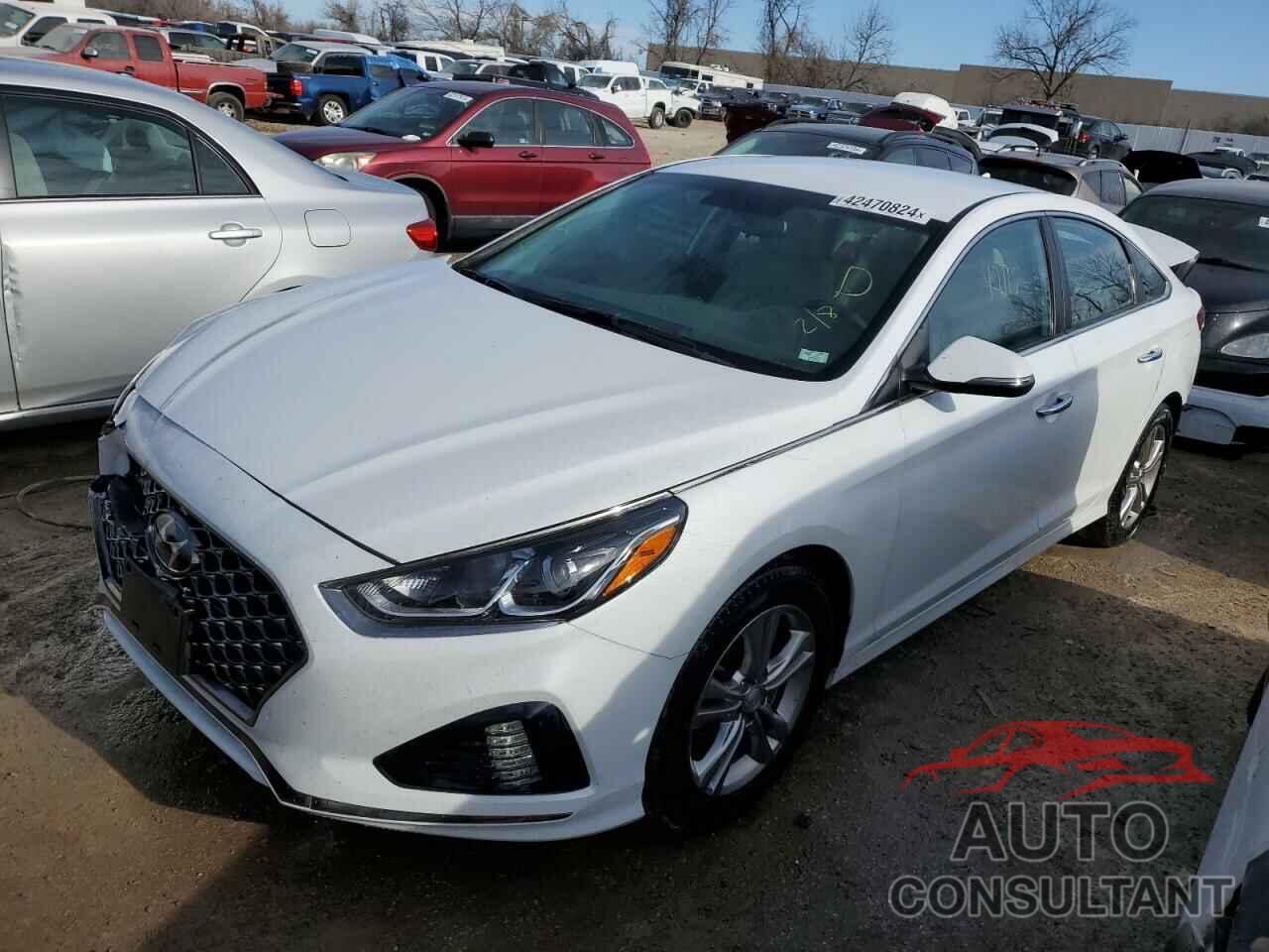 HYUNDAI SONATA 2019 - 5NPE34AF1KH816938