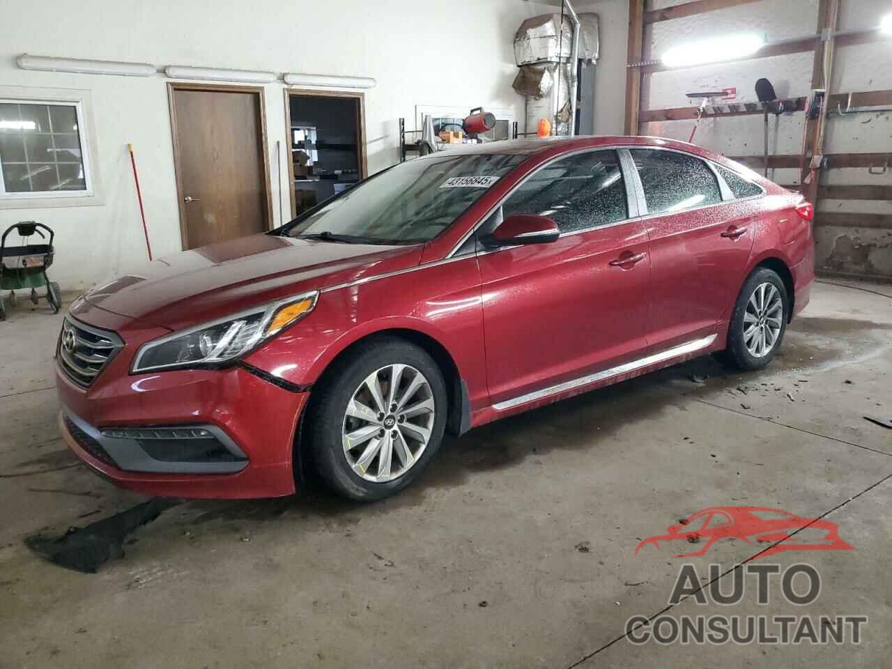 HYUNDAI SONATA 2016 - 5NPE34AF9GH268856