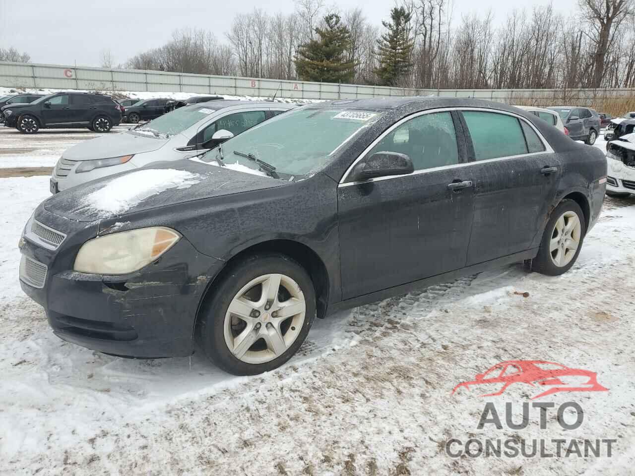 CHEVROLET MALIBU 2010 - 1G1ZB5EB3AF240336