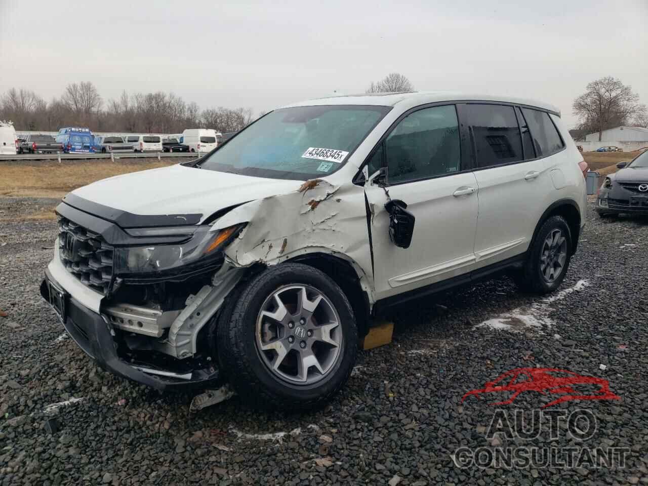 HONDA PASSPORT 2022 - 5FNYF8H67NB017914