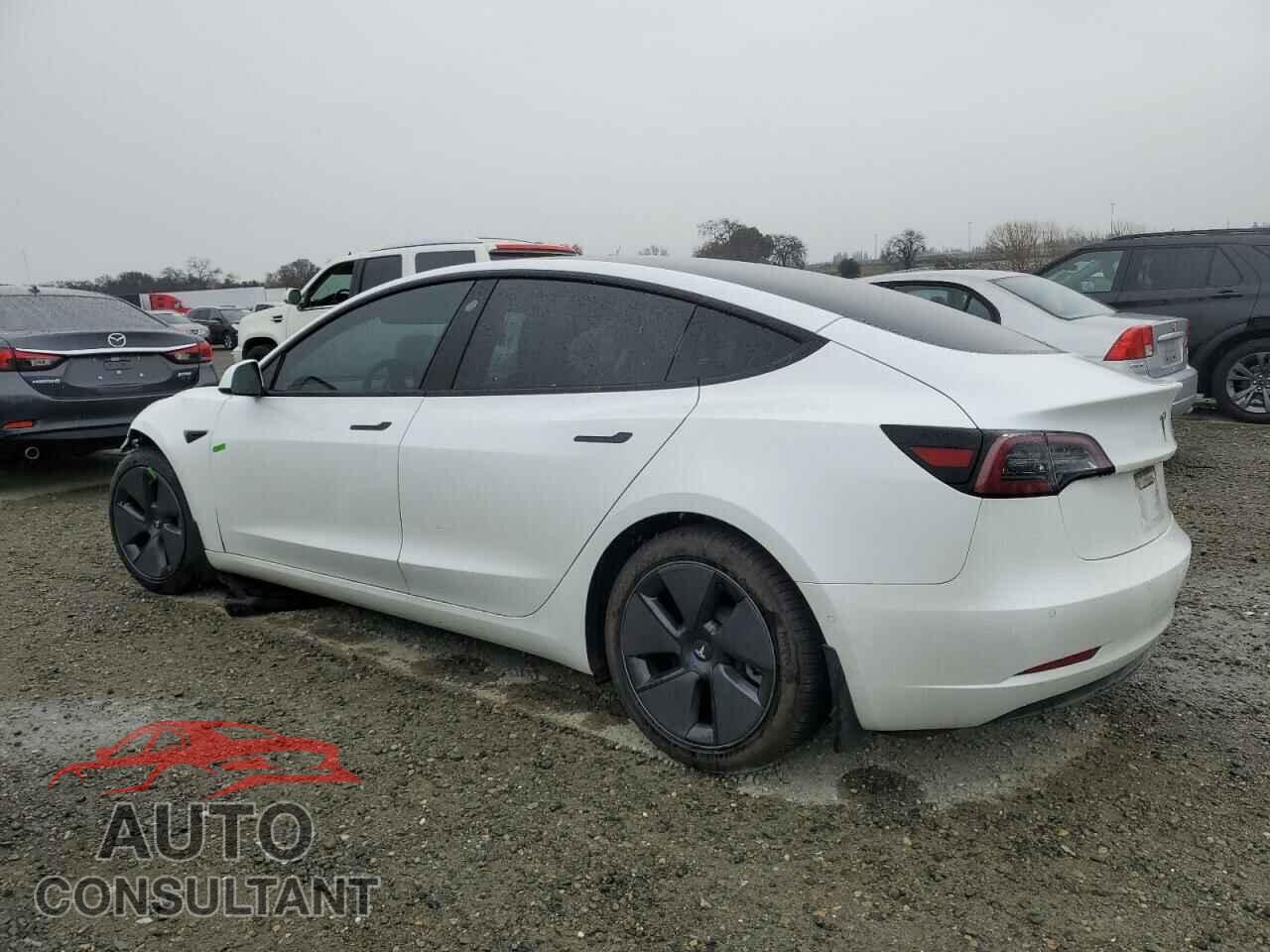 TESLA MODEL 3 2021 - 5YJ3E1EB1MF938904