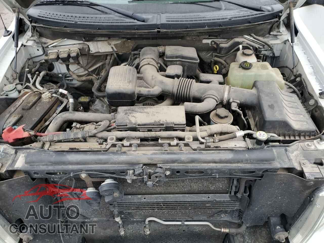 FORD F-150 2010 - 1FTFX1EV5AKE29740