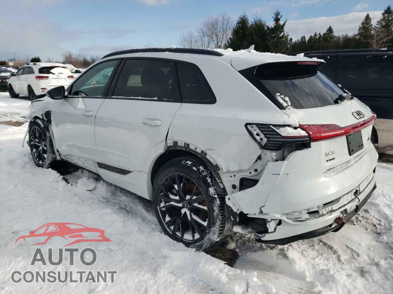 AUDI E-TRON 2022 - WA1AAAGE4NB023103