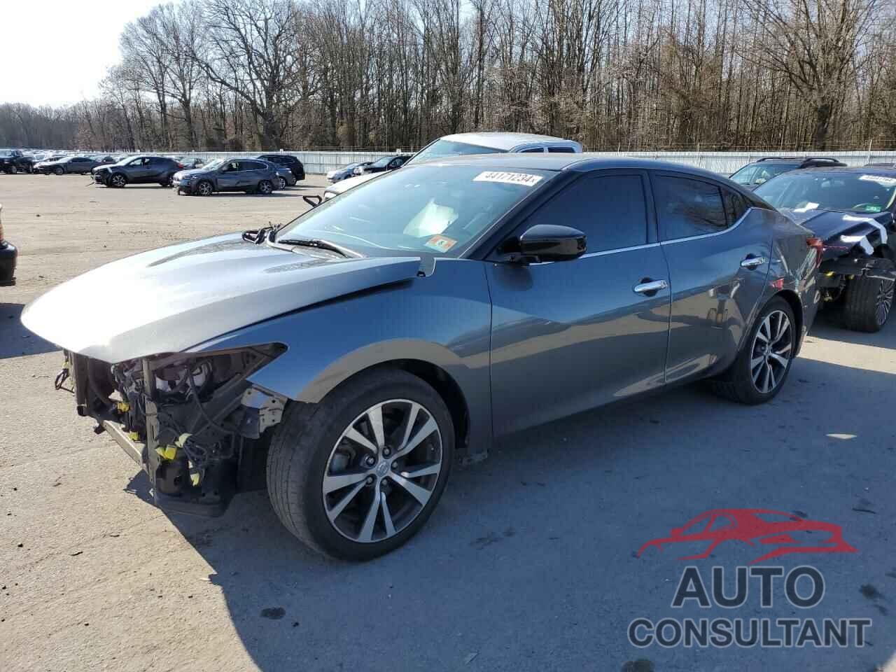 NISSAN MAXIMA 2017 - 1N4AA6AP6HC430535