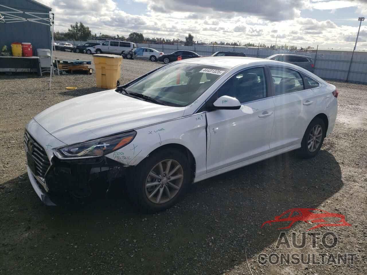 HYUNDAI SONATA 2019 - 5NPE24AF9KH779902