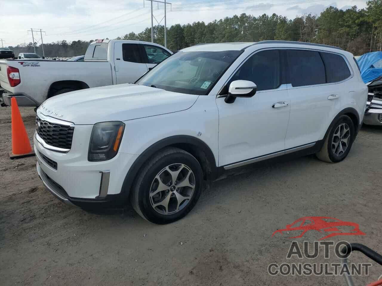 KIA TELLURIDE 2020 - 5XYP34HC1LG036015