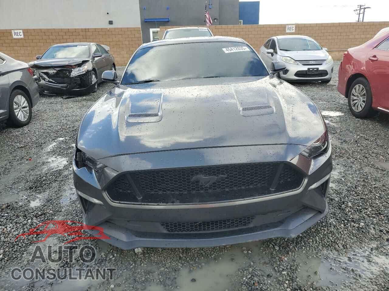 FORD MUSTANG 2019 - 1FA6P8CF2K5134945