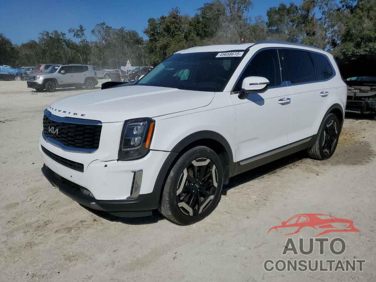 KIA TELLURIDE 2022 - 5XYP54HC0NG227759