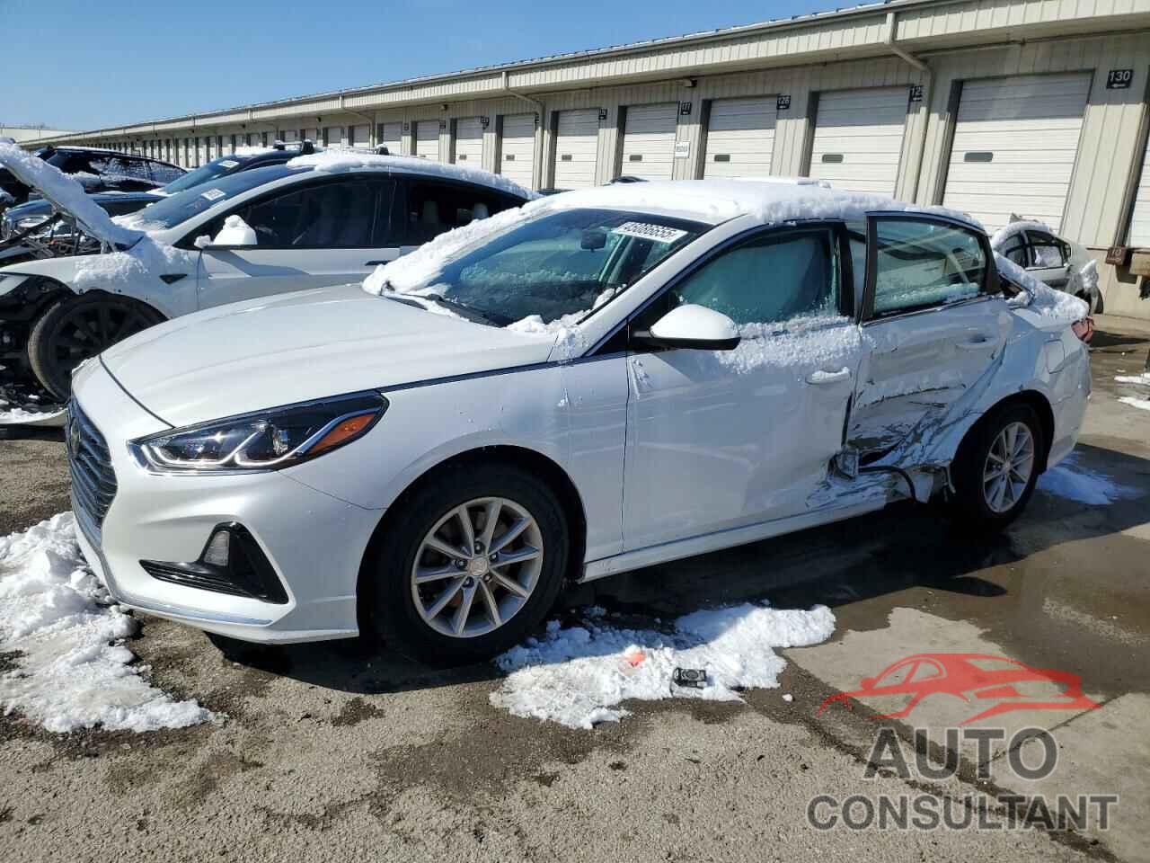 HYUNDAI SONATA 2018 - 5NPE24AF4JH661786