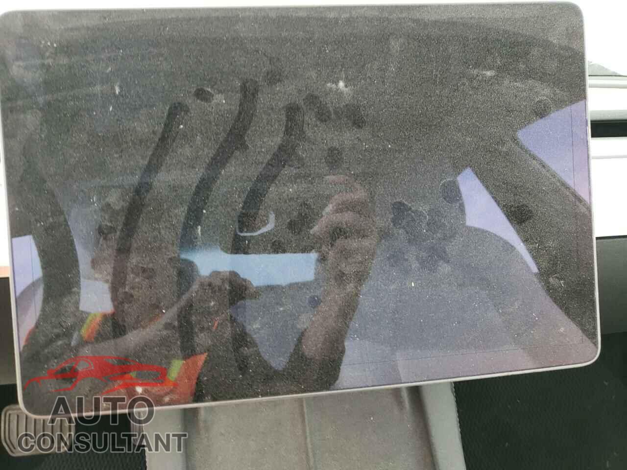 TESLA MODEL 3 2021 - 5YJ3E1EA1MF093267