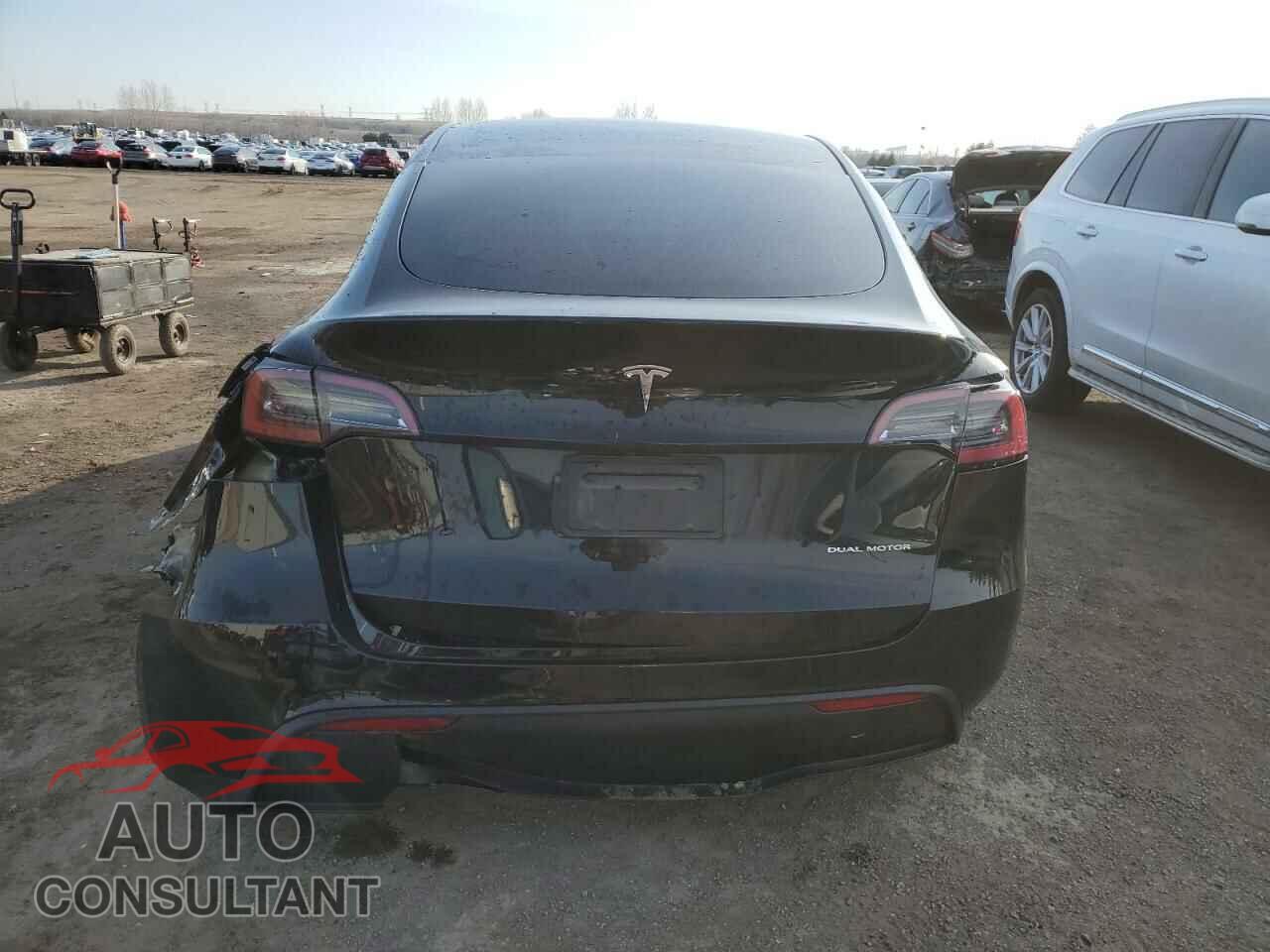 TESLA MODEL Y 2023 - LRWYGDEE0PC137097