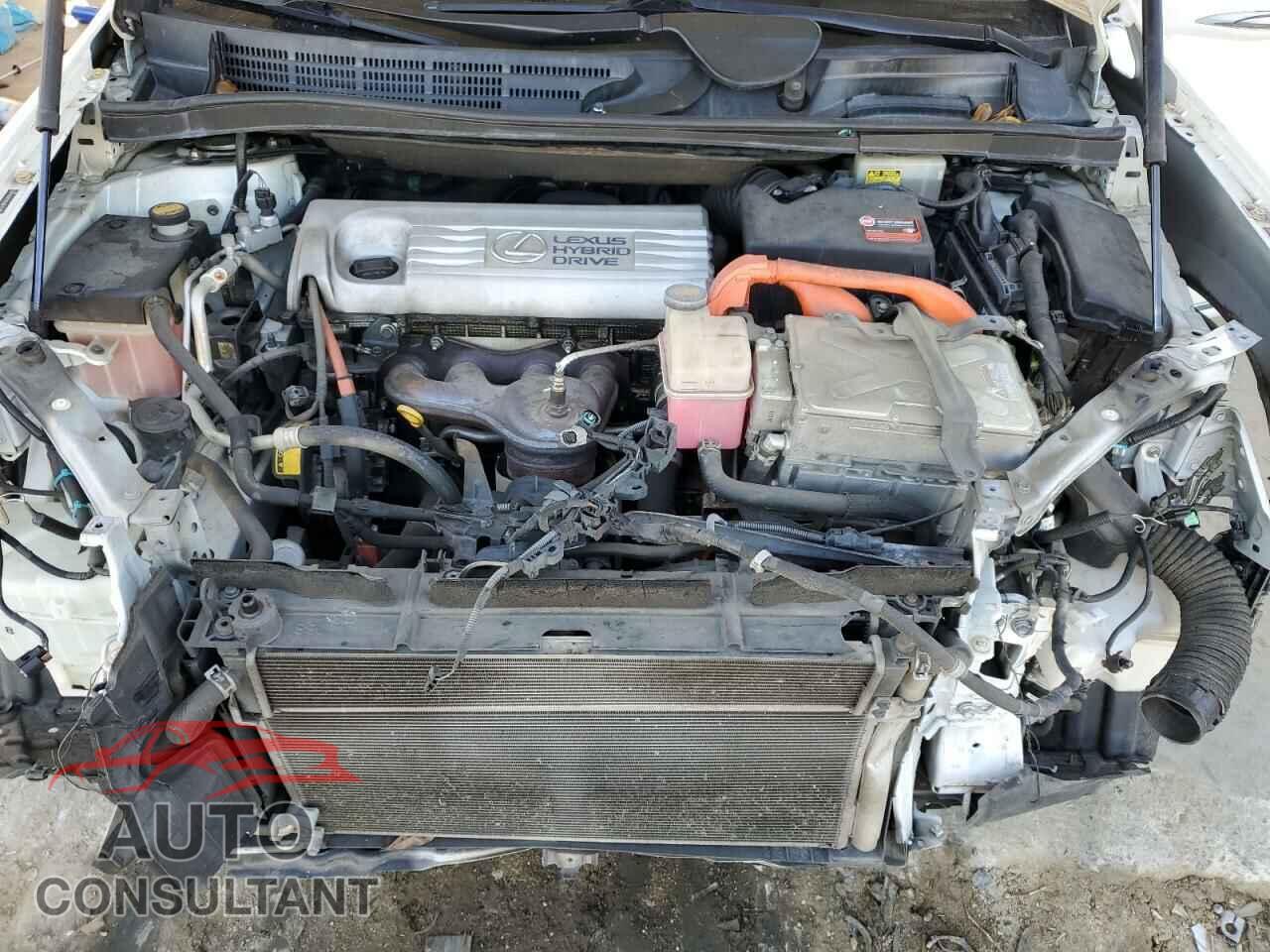 LEXUS HS 2010 - JTHBB1BA0A2034443