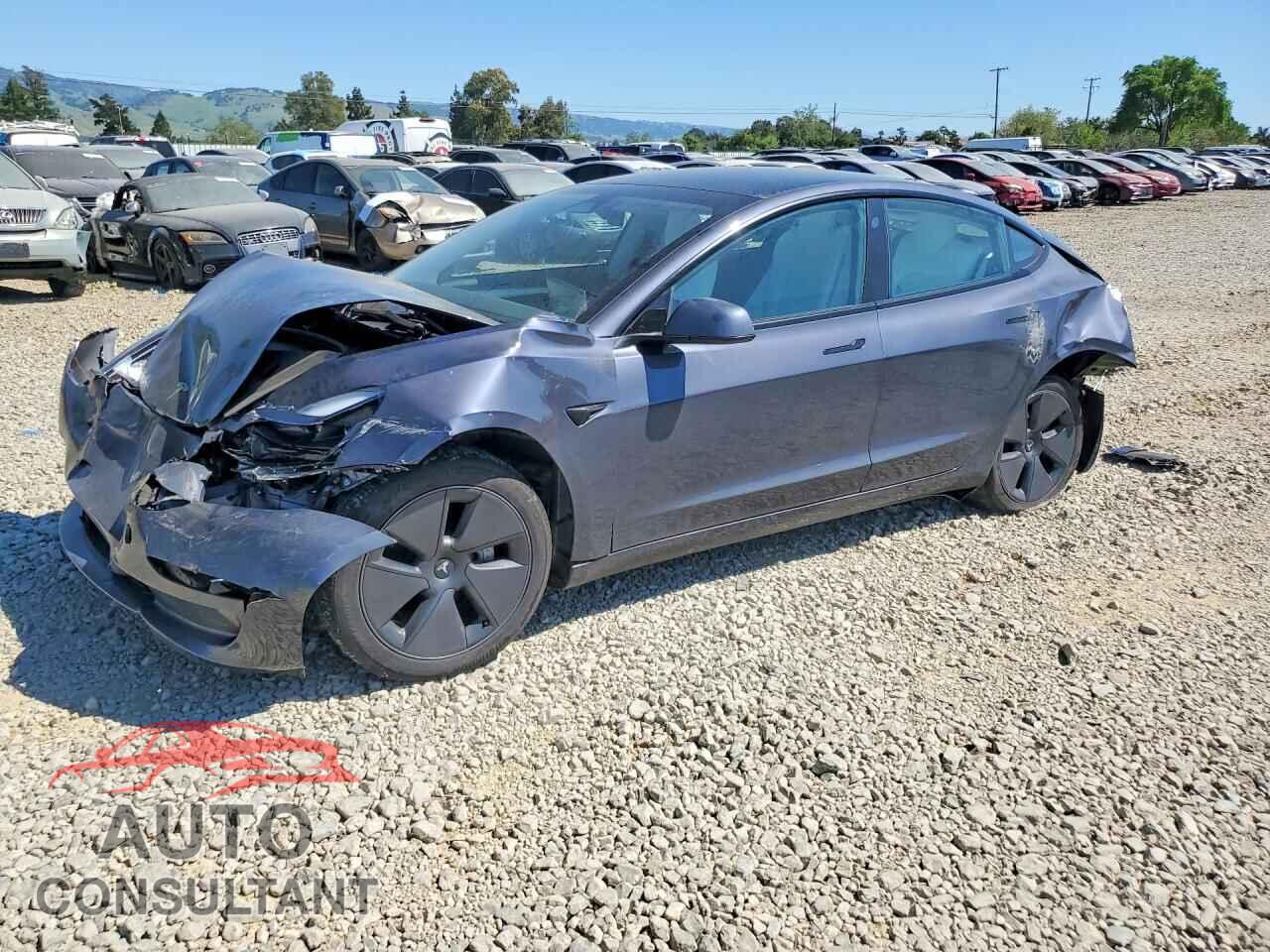 TESLA MODEL 3 2023 - 5YJ3E1EA8PF619902