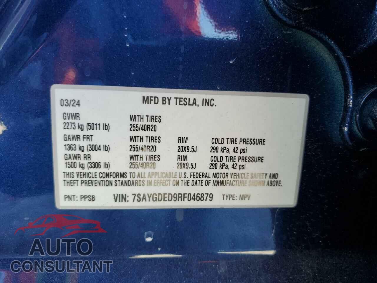 TESLA MODEL Y 2024 - 7SAYGDED9RF046879