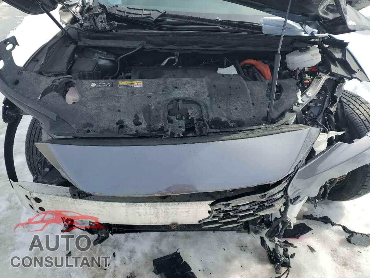 LEXUS RX 350H BA 2023 - 2T2BBMCA4PC010296