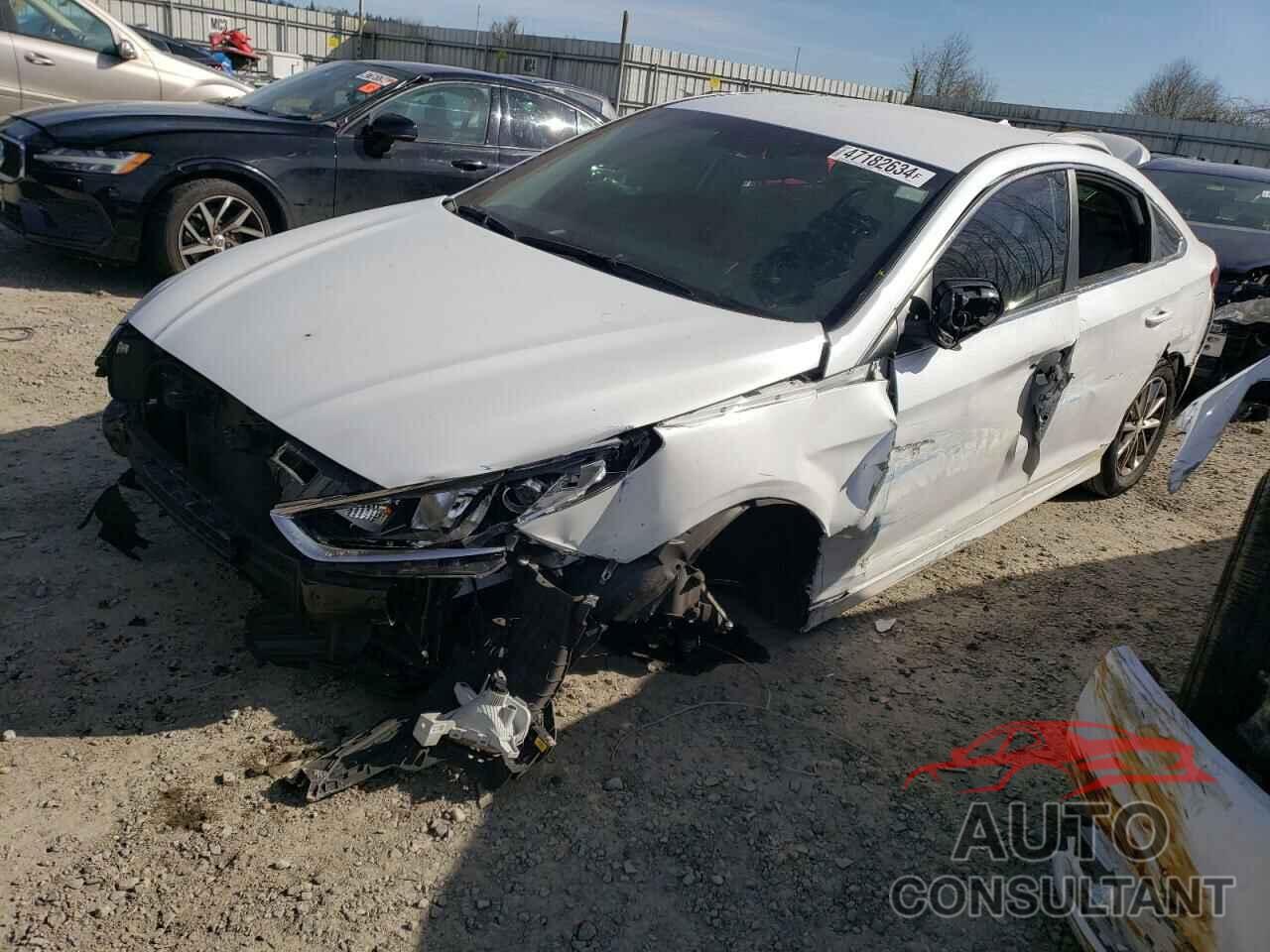 HYUNDAI SONATA 2019 - 5NPE24AFXKH737464