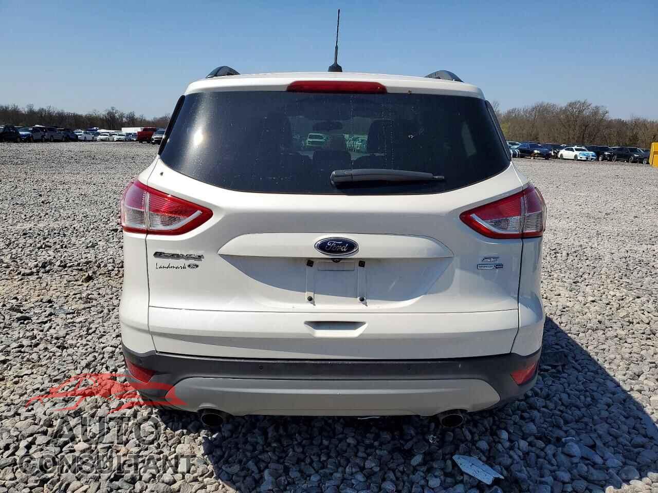 FORD ESCAPE 2014 - 1FMCU9GX9EUC66556
