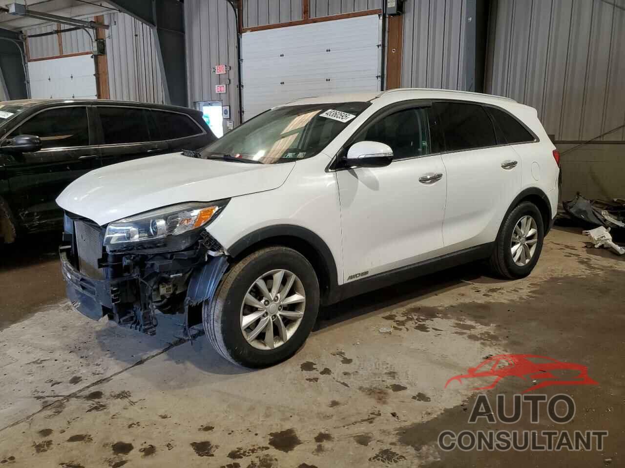 KIA SORENTO 2017 - 5XYPGDA55HG292620