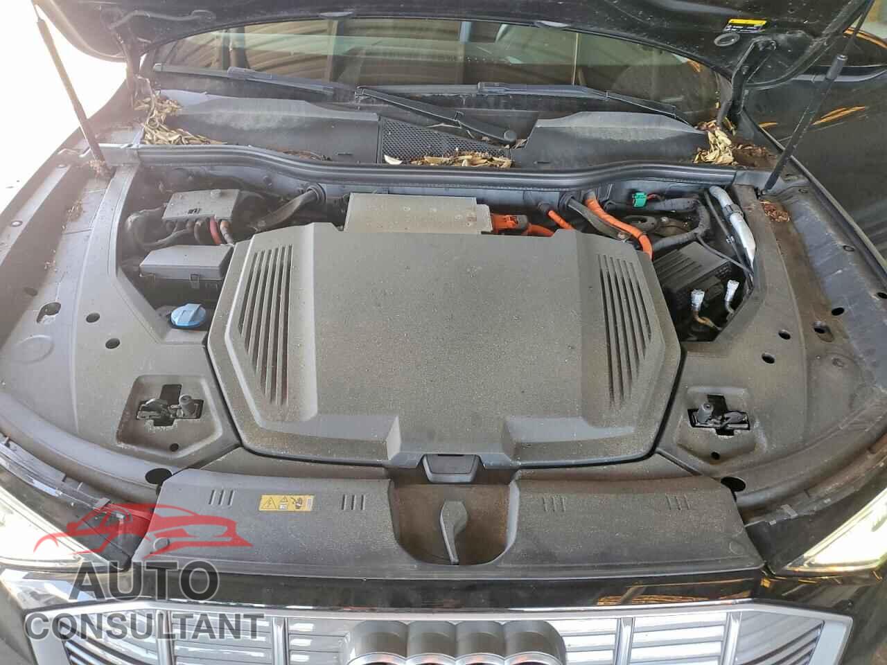 AUDI E-TRON 2022 - WA1LAAGE0NB031806