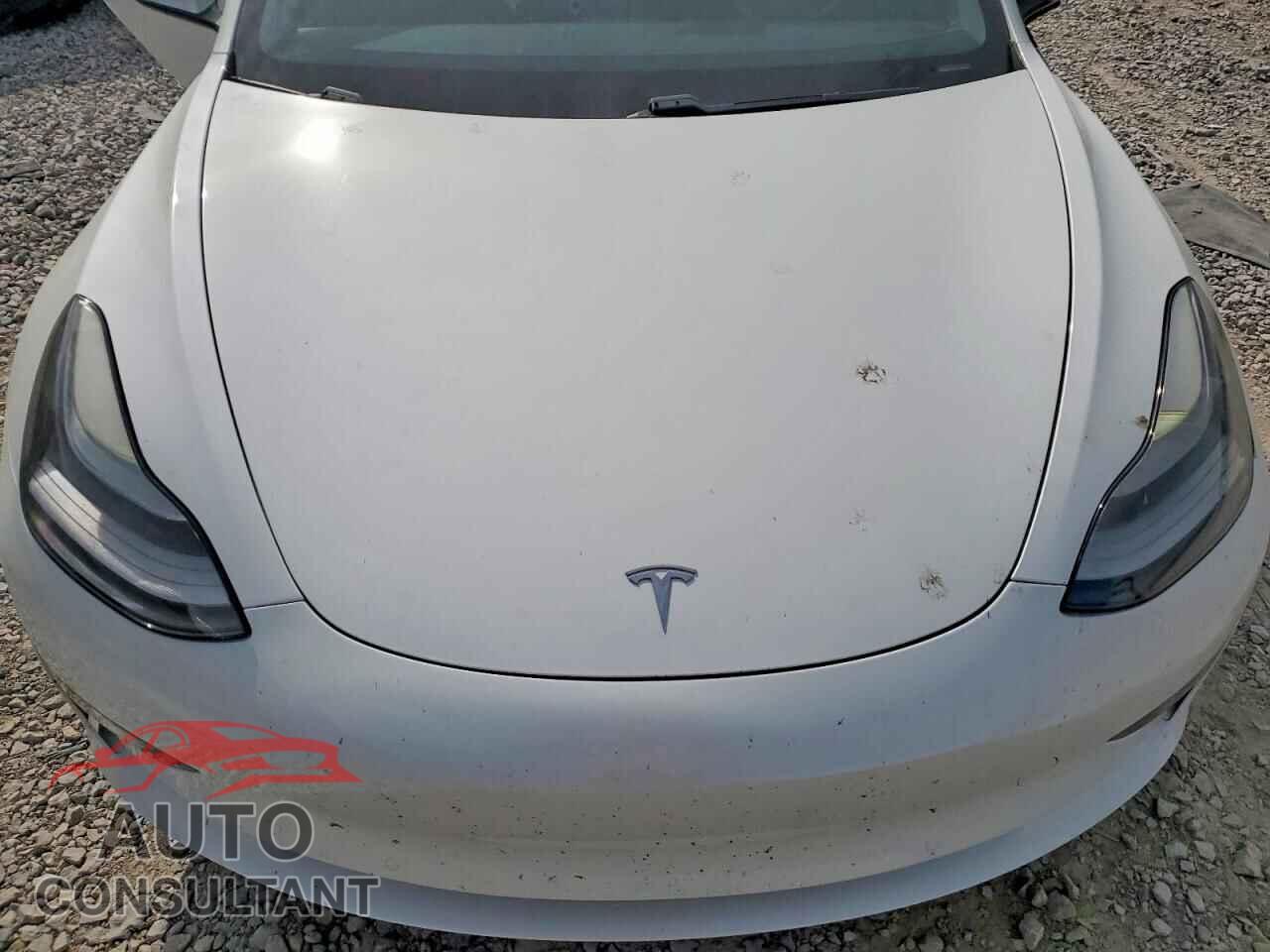 TESLA MODEL 3 2021 - 5YJ3E1EA3MF046936