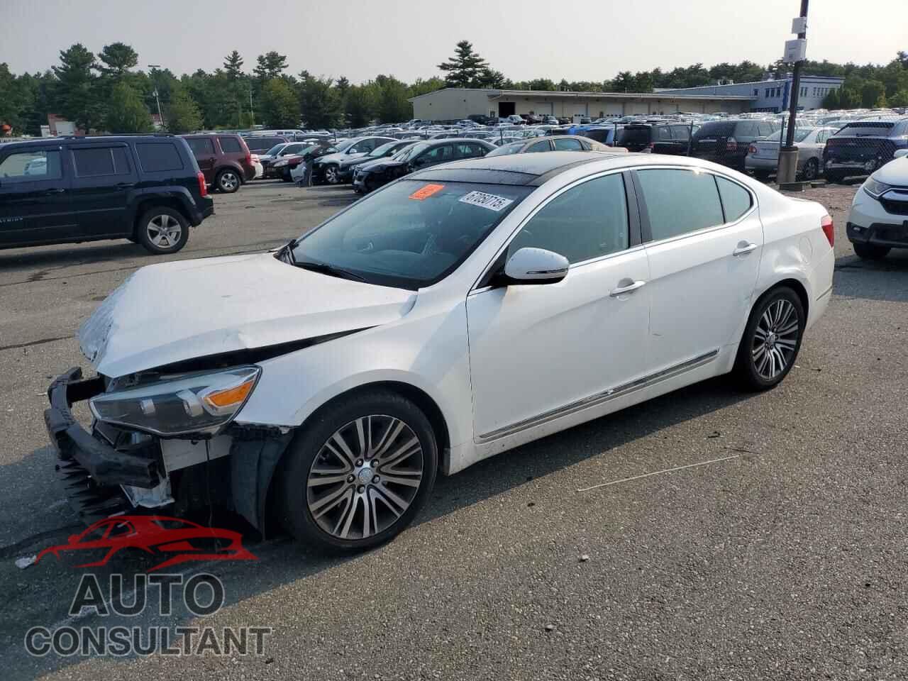 KIA CADENZA 2014 - KNALN4D70E5145348
