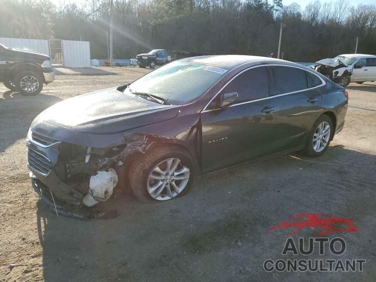 CHEVROLET MALIBU 2016 - 1G1ZE5ST3GF341955