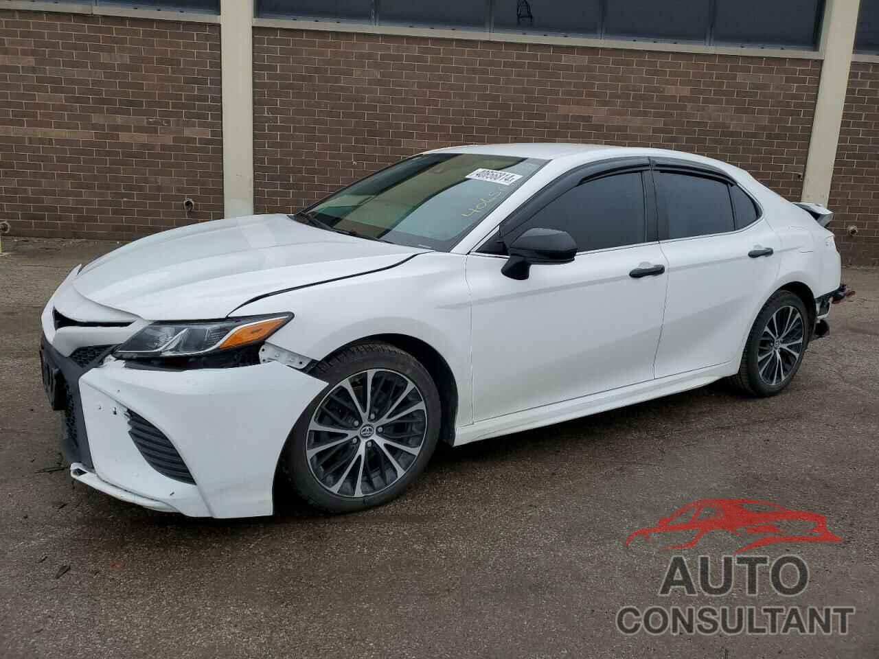 TOYOTA CAMRY 2019 - 4T1B11HKXKU836374
