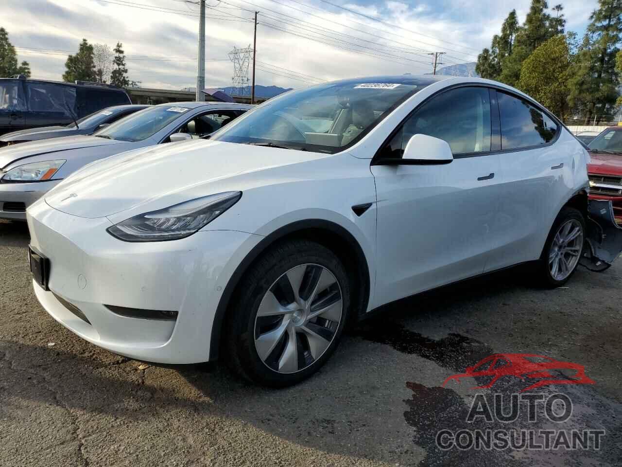 TESLA MODEL Y 2021 - 5YJYGDEE5MF094250