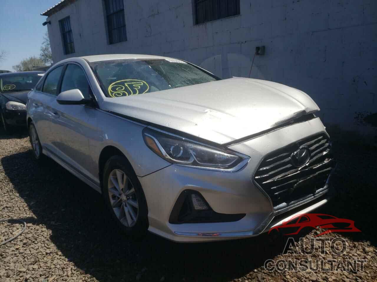 HYUNDAI SONATA 2019 - 5NPE24AF0KH798435