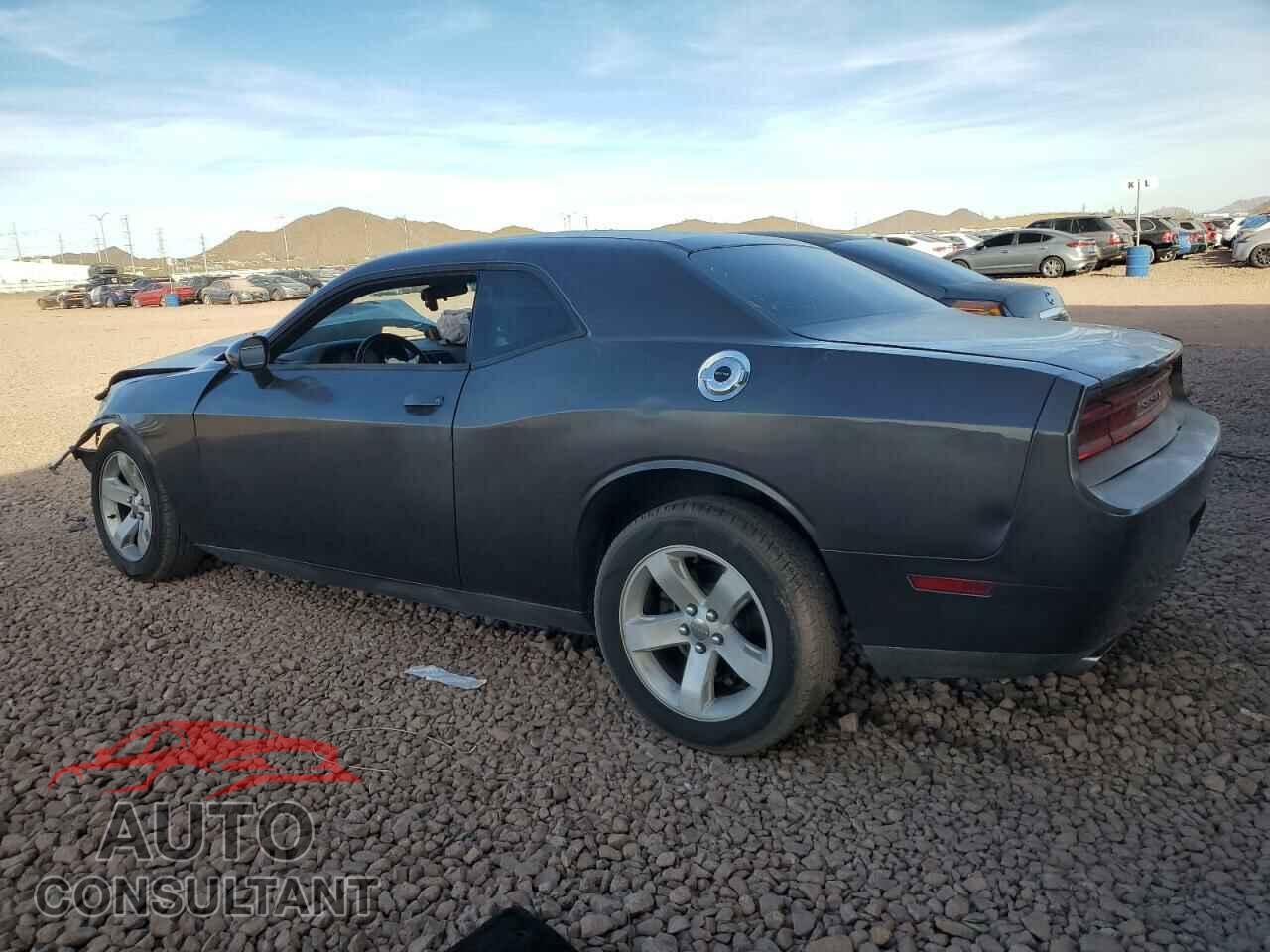 DODGE CHALLENGER 2013 - 2C3CDYAG7DH607269
