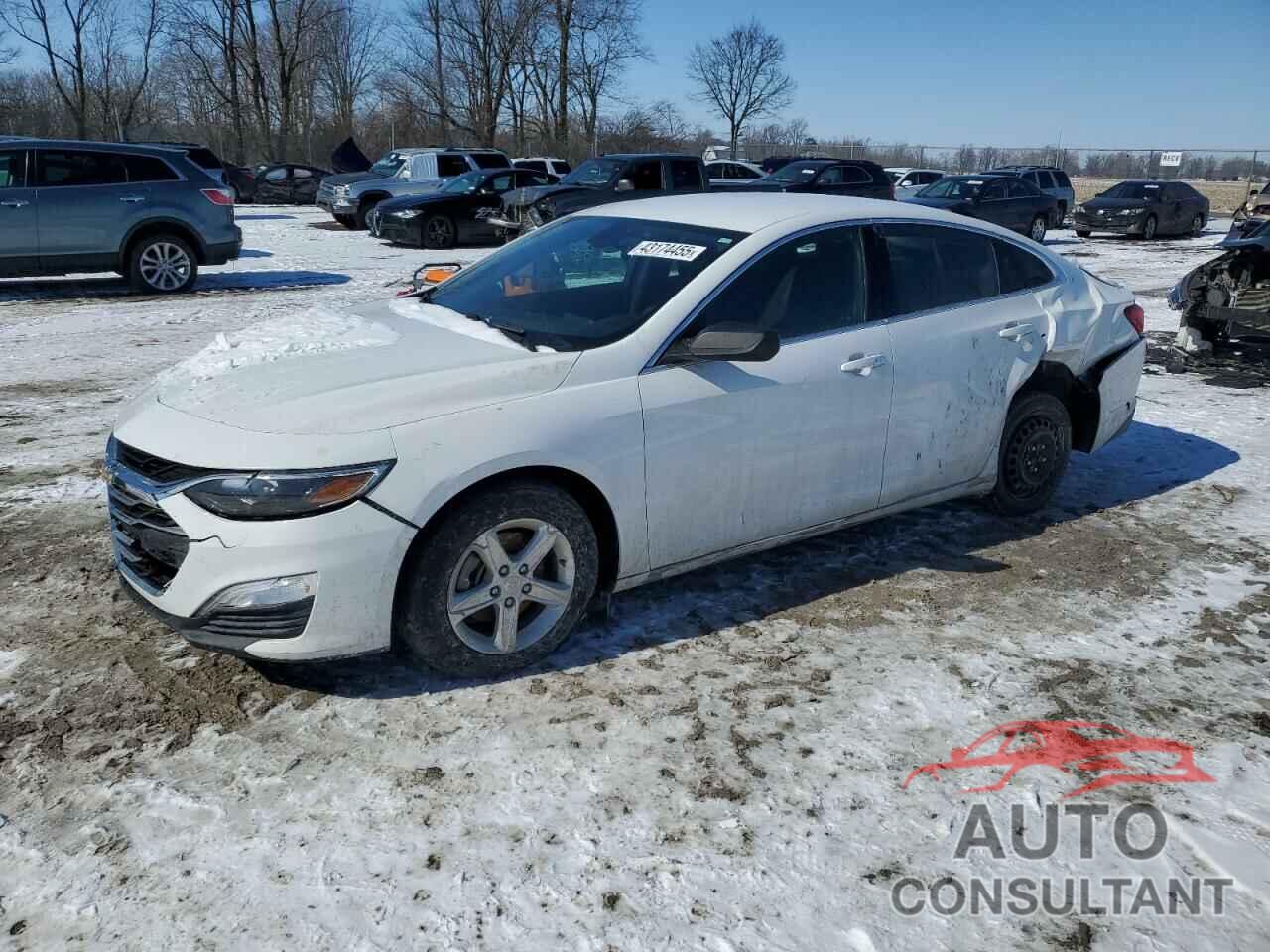 CHEVROLET MALIBU 2019 - 1G1ZB5ST1KF127757