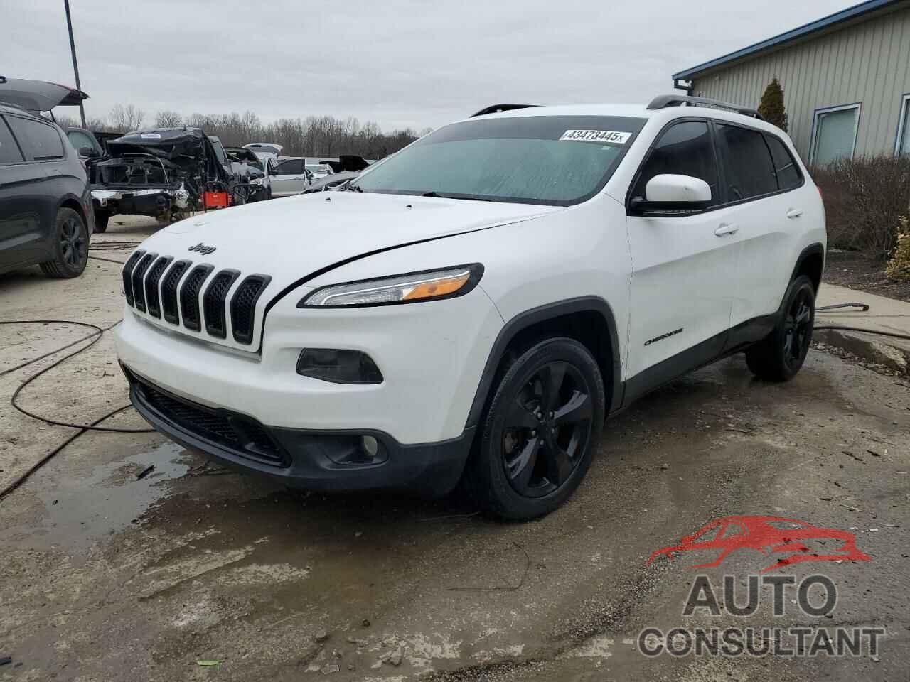 JEEP GRAND CHER 2015 - 1C4PJLCB0FW770618