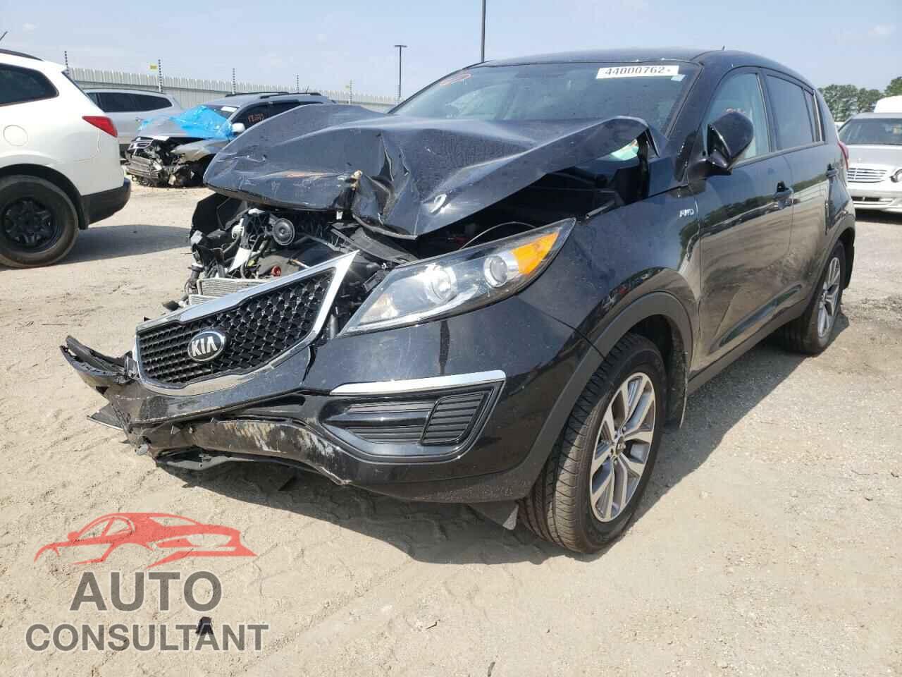 KIA SPORTAGE 2016 - KNDPBCAC8G7875895