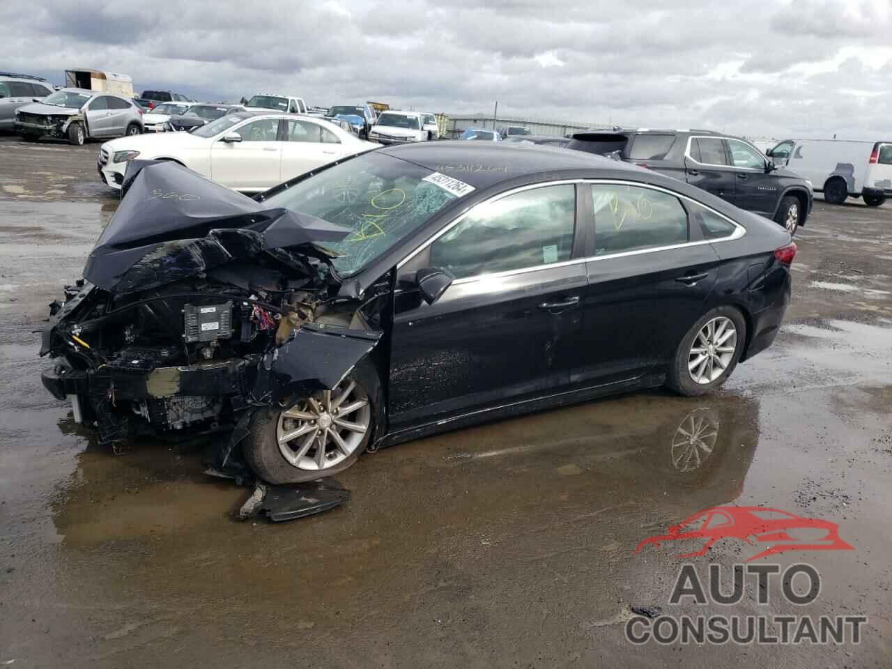 HYUNDAI SONATA 2019 - 5NPE24AF0KH764379