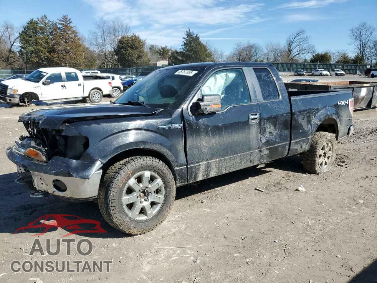 FORD F-150 2013 - 1FTFX1EF1DFD25039