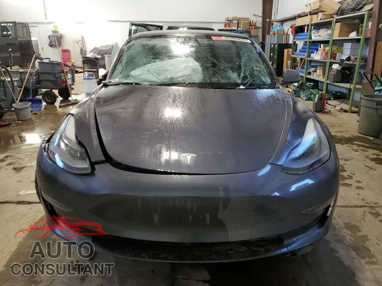 TESLA MODEL 3 2023 - LRW3E1FA2PC899535