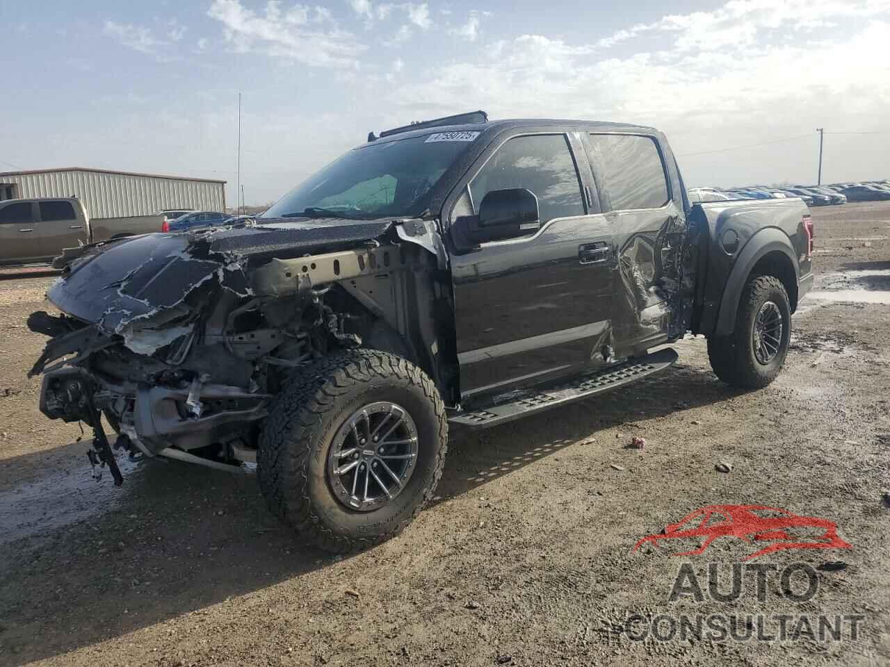 FORD F150 2019 - 1FTFW1RG0KFC08135