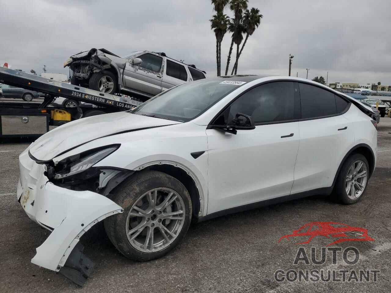 TESLA MODEL Y 2021 - 5YJYGDEE0MF092020