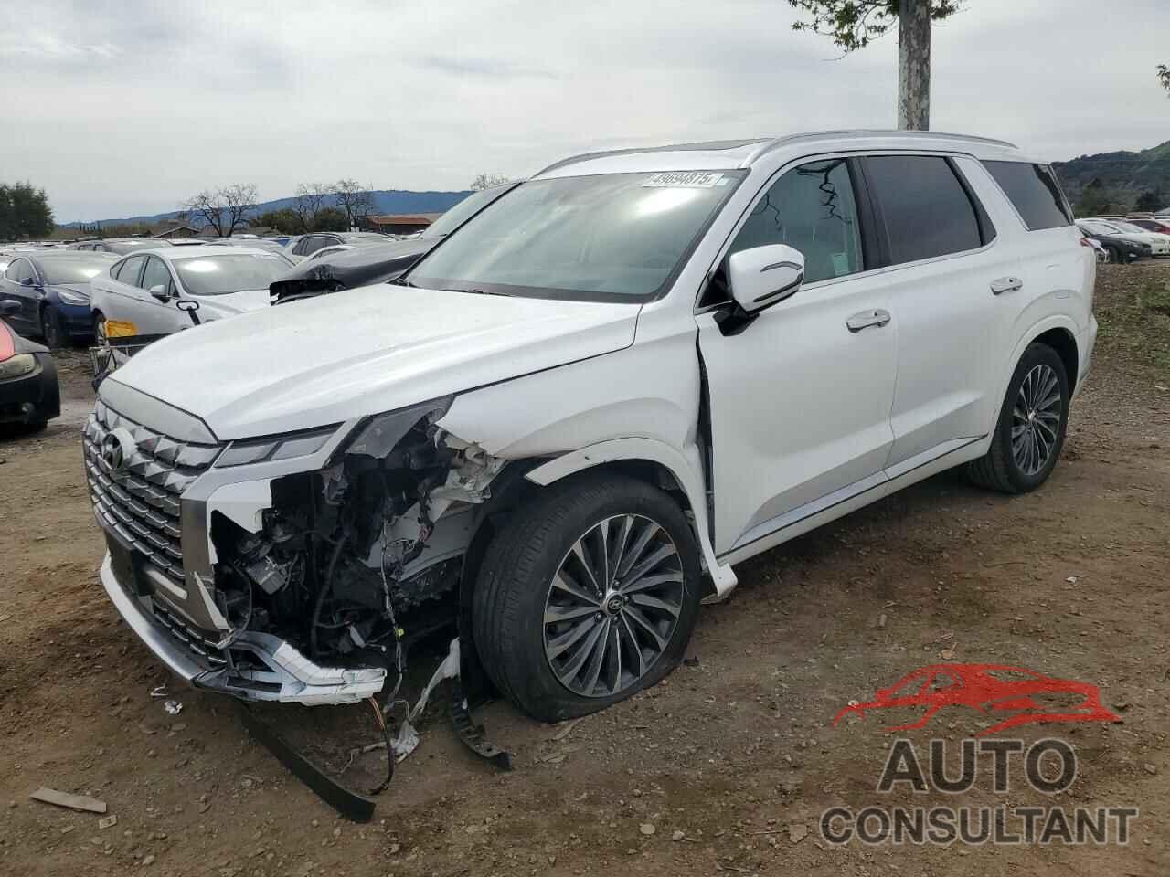 HYUNDAI PALISADE 2023 - KM8R74GE7PU516883