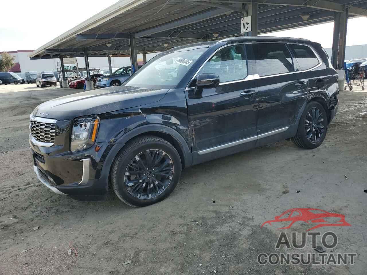 KIA TELLURIDE 2020 - 5XYP5DHC6LG071322
