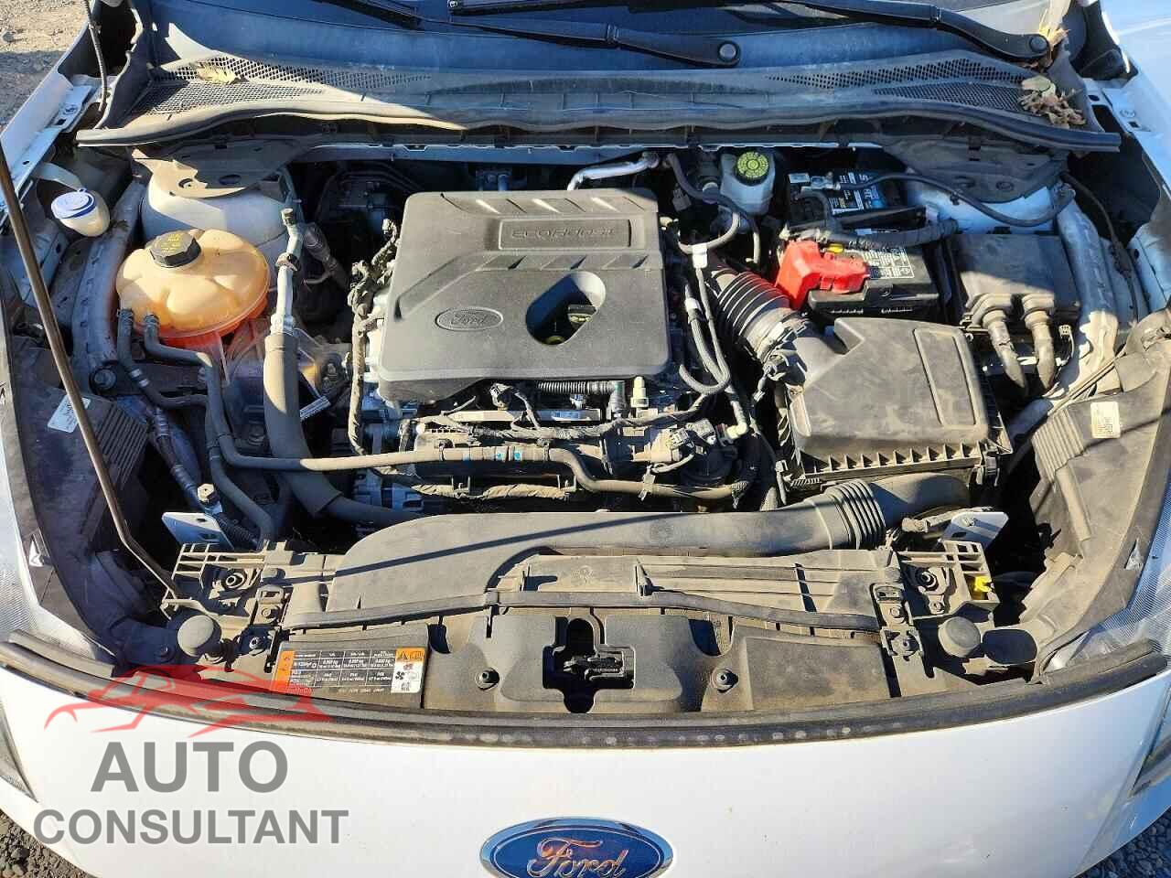FORD ESCAPE 2020 - 1FMCU0F62LUA79502