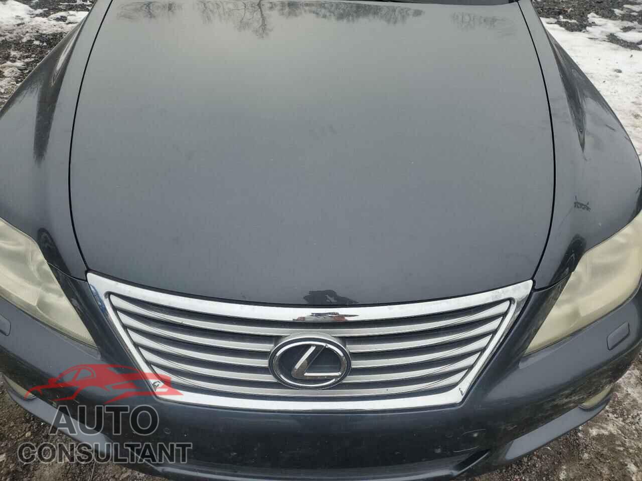 LEXUS LS460 2010 - JTHBL5EF4A5095403