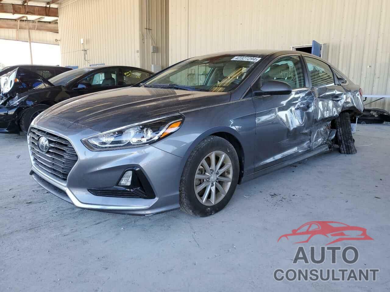 HYUNDAI SONATA 2019 - 5NPE24AFXKH786311