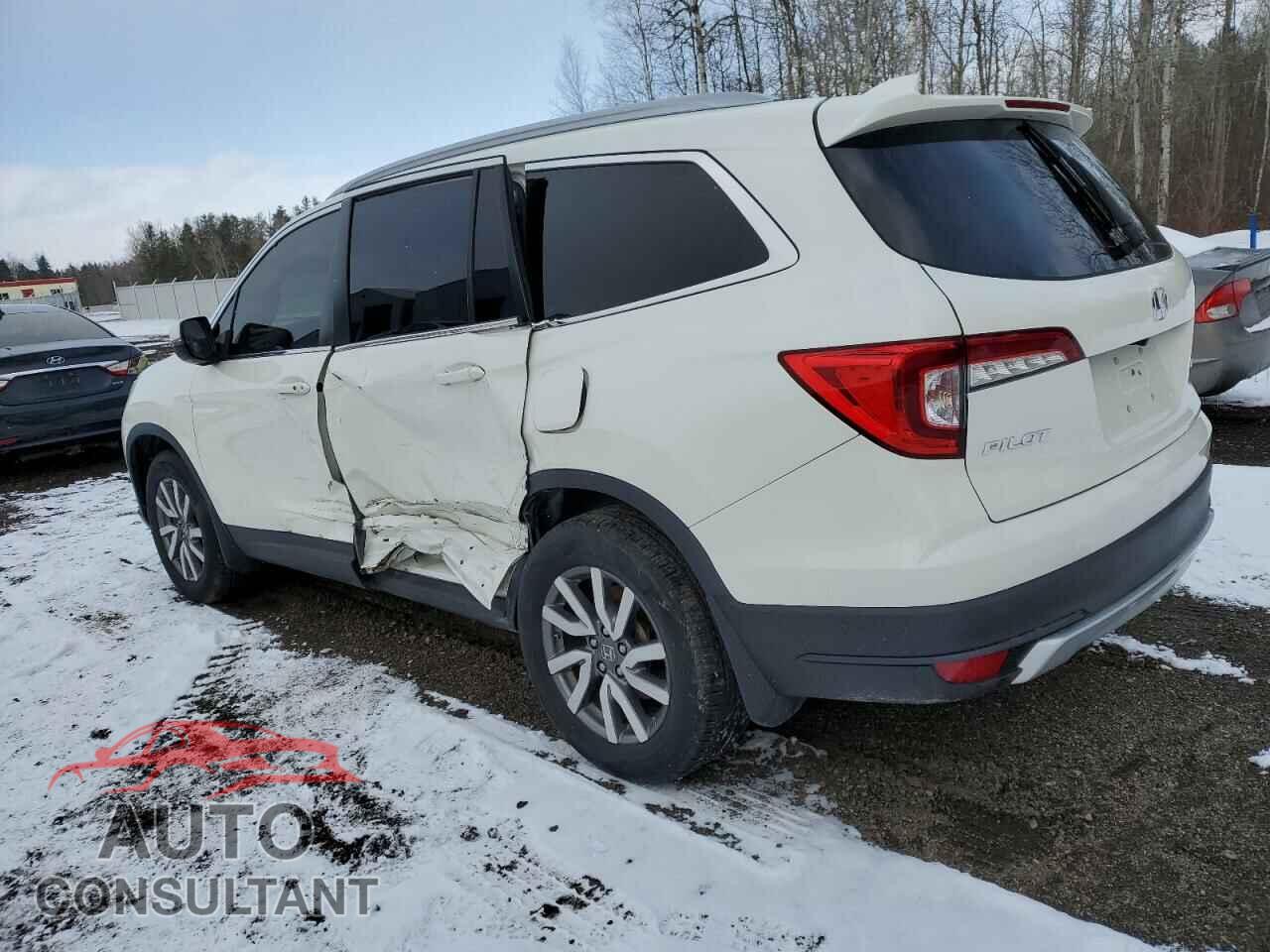 HONDA PILOT 2019 - 5FNYF6H36KB502292