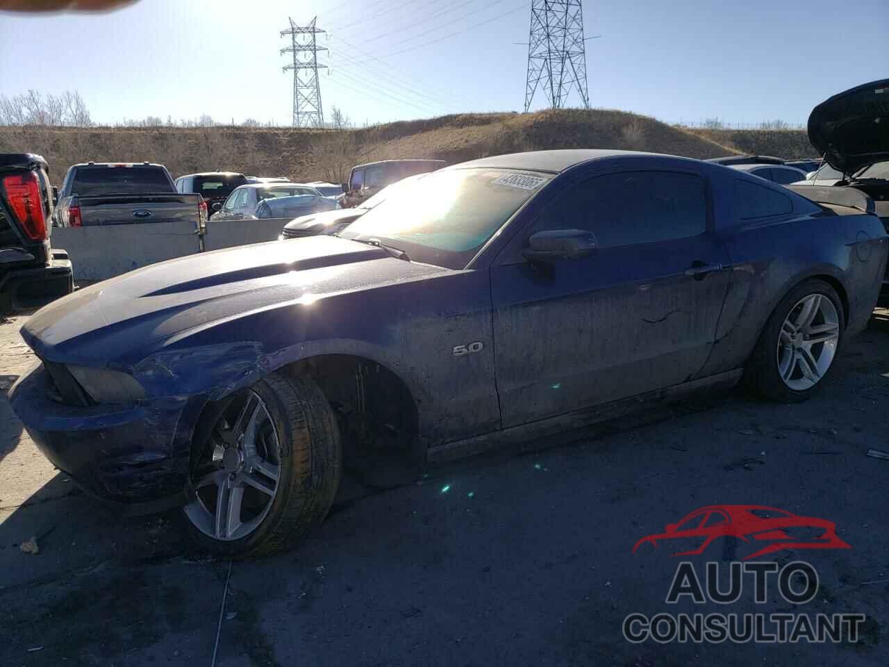 FORD MUSTANG 2011 - 1ZVBP8CF2B5150018